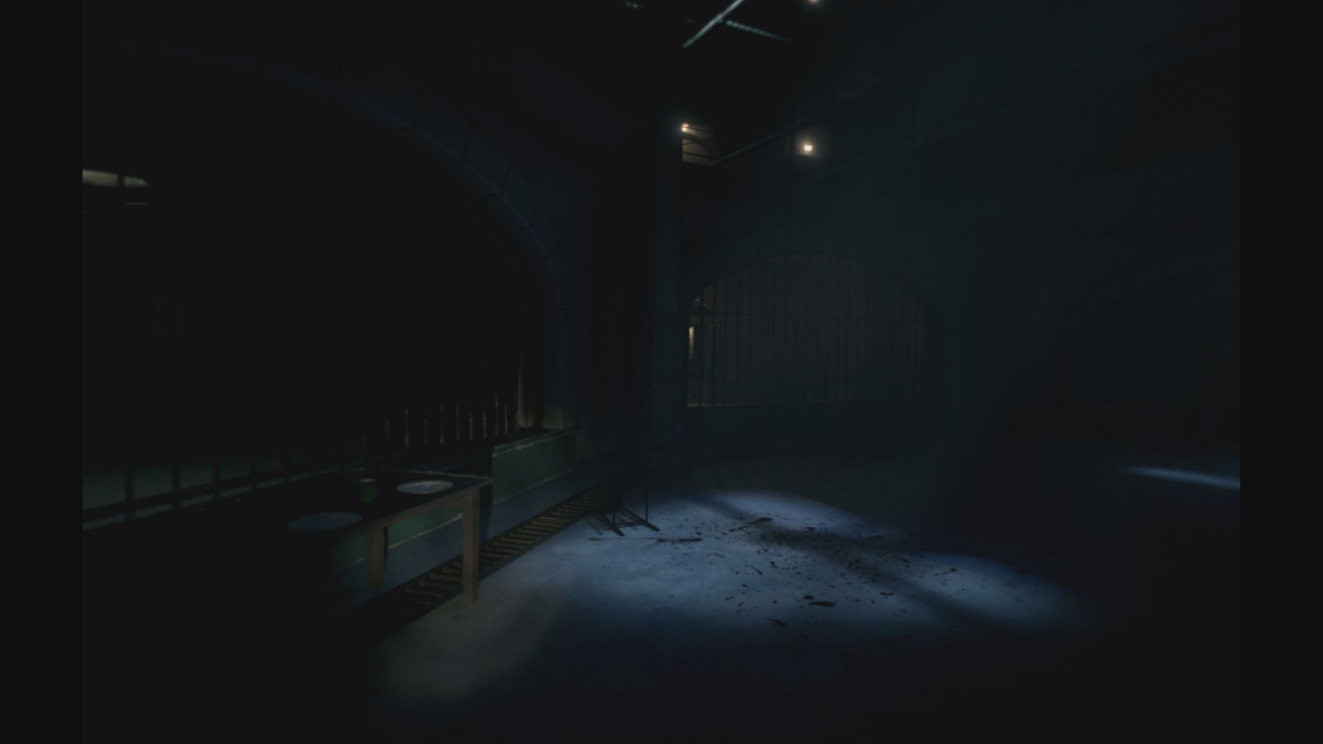 The Inpatient